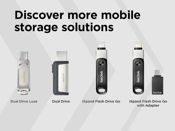 فلش Sandisk Dual Drive Go 256GB